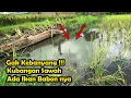 Download Lagu Mancing Ikan Di Kubangan Sawah Yang Terkenak Banjir