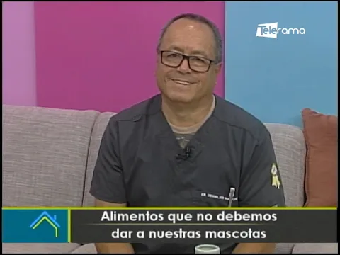 Alimentos que no debemos dar a nuestras mascotas