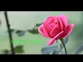 Download Lagu O Hey Shyam Siam