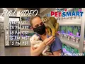 Baby Monkey oLLie Lets Cricket Free At PetSmart