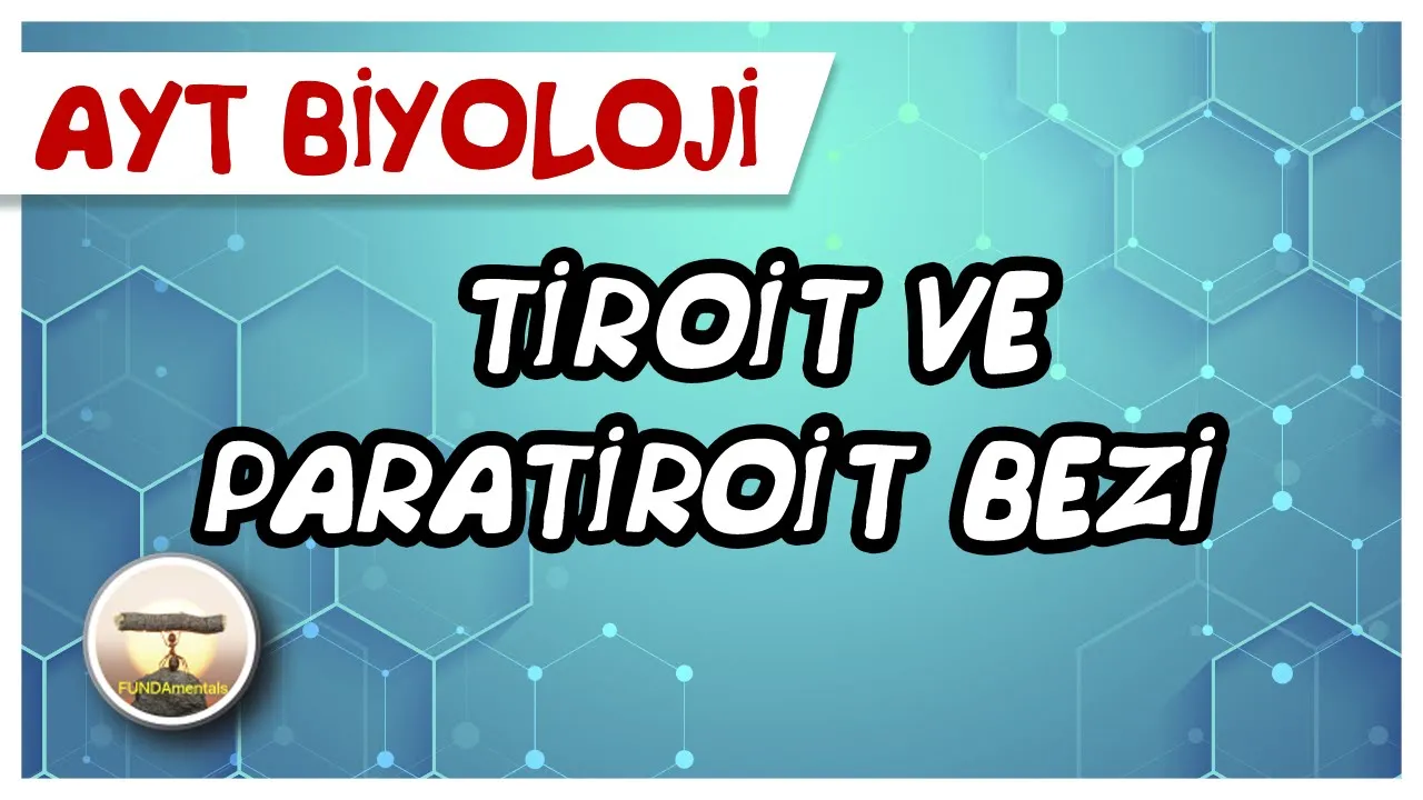 AYT Biyoloji | Tiroit ve Paratiroit Bezi #sayfa32