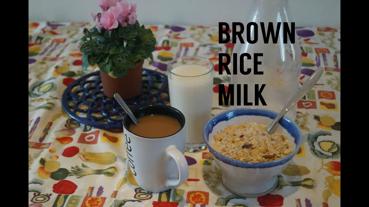 Brown Rice Milk   Vegan, Dairy-Free Milk Alternative