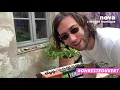 Le live confiné de Miel de Montagne | On Reste Ouvert