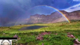 Altelawatv تلاوات للشيخ عبدالرحمن مسعد ساعه توبه إلى الله 