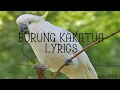 Download Lagu Burung Kakatua Lyrics