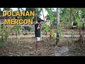 Download Lagu RH RAMADHAN #6 | DOLANAN MERCON