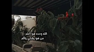 أجمل شيله بدون موسيقى من هو فينا أمين برناوي كلمات الشاعرة مروج محمد 