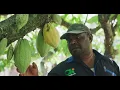 Ebier Suth Cokran - a regenerative organic cacao farm in West Papua Indonesia - highlights (2 min)