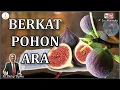 Download Lagu TAHUKAH ANDA ???  Kotbah Yesus Tentang Berkat Dari Pohon Ara.