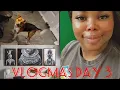 Vlogmas Day 3 Chilling with my dogs Wayfair Boutique Rugs