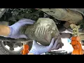Nissan cvt part 1 - dropping pan on dead transmission code P1778