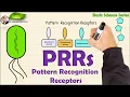 Pattern recognition receptor Immune system PRRs Basic Science Series