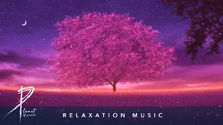 Download Moonlight Dream | Relaxation Music | Calm Peaceful Melody for Relaxation | Calm Background Music MP3