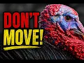 First Time Turkey Hunting Watch This