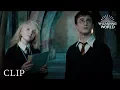 Luna s Lost Possessions Harry Potter and the Order of the Phoenix