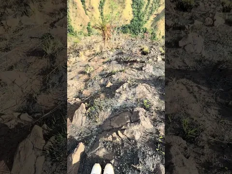 On top of the world