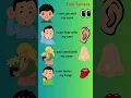 What are the 5 Senses Five sense organs Five Senses with examples