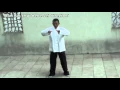 Taijiquan Fundamentals Master Wang Zhixiang Cina 2004