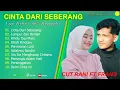 CUT RANI - CINTA DARI SEBERANG - FULL ALBUM TERBAIK 2025 ||  || LAGU SLOW 2025#ontrending