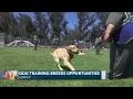 Doggie Do Good Creates Special Bonds At Lompoc Federal Penitentiary