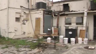 Dirty Dining Inspectors order 13 restaurants shut in South Florida