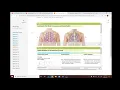 HESI Case Study Mobility