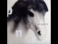 Ginuwine - Pony (Timbaland's Extended Mix) [CDQ]