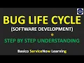 Bug Life Cycle Phases Bug Life Cycle Explanation