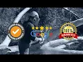 Professional Tree Service in Painsville OH Green Horizon Tree Service