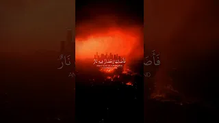 فأصابها إعصار فيه نار فاحترقت ماهر المعيقلي سوره البقره دندنها
