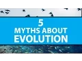 5 Common Myths About Evolution Mashable