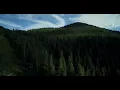 BT - Artifacture