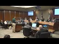 Tensions rise over animal services at Midland City Council meeting
