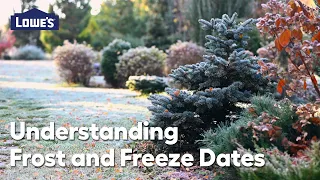 Frost Freeze Dates for Planting Guide