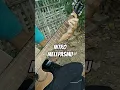 Download Lagu intro Drive - Melepasmu #fingerstyleindonesia #fingerstylepemula #cover