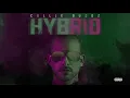 Collie Buddz - Love Is Life (Official Audio)