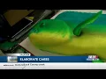 Coast Life Cake maker brings joy with elaborated creations