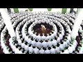 Zikir Sufi
