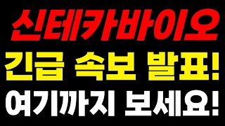 신테카바이오주가 5분전 긴급 특보 발표 ! 역대 최대 호재 발표 준비하세요! #신테카바이오 #신테카바이오주가 #신테카바이오주가전망