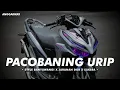 Download Lagu Dj Pacobaning Urip • Banyuwangi style × jaranan dor × sakera • By ANGGARMXR