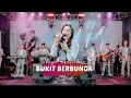 Download Lagu BUKIT BERBUNGA - MEGA ANTARIKSA  | IJJOO PRODUCTION LIVE MADIUN