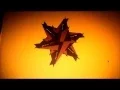 Pygame Rotate