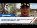 Download Lagu Profil Dirpolairud Polda Jambi Kombes Pol Michael Mumbunan, Korban Helikopter Mendarat Darurat