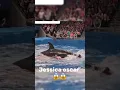 Jessica Vanishes Inside Her Pet Whale! 😱” #short #viral