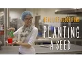 Unplugged - Real-Life Algorithms Planting a Seed