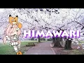 Download Lagu tes intro (5 detik) maap jelek no music
