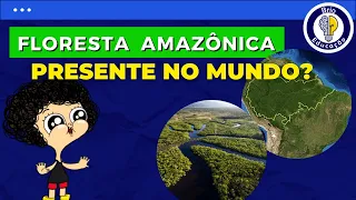 5 Curiosidades que Você Não Sabia sobre a Floresta Amazônica - Pt.1 | Brio Educação