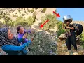 Download Lagu Wild Fig Quest: A Nomadic Family’s Mountain Journey  🏔️🏡
