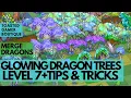 Merge Dragons Glowing Dragon Tree Level 7 Tips Tricks