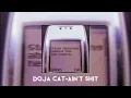 Download Lagu Doja cat-aint sh*t(sped up)
